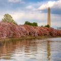 Exploring the Racial Makeup of Alexandria, Virginia