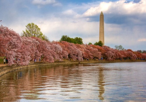 Exploring the Racial Makeup of Alexandria, Virginia